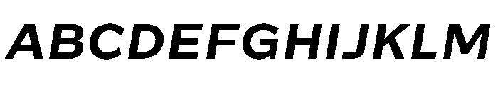 Action Grotesque Bold Italic Font UPPERCASE