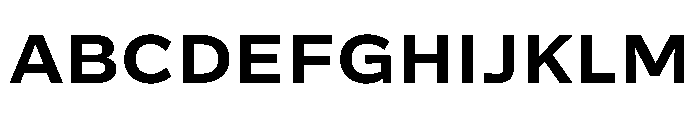 Action Grotesque Bold Font UPPERCASE