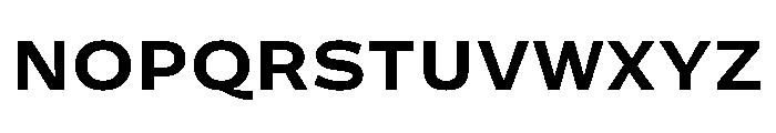 Action Grotesque Bold Font UPPERCASE