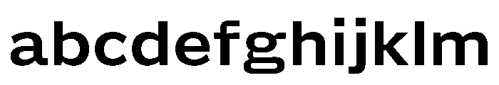 Action Grotesque Bold FONT