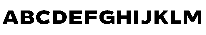 Action Grotesque Extrabold Font UPPERCASE