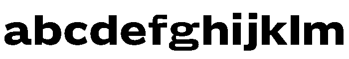 Action Grotesque Extrabold FONT