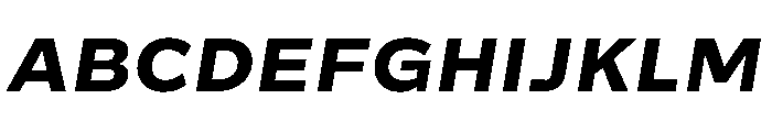 Action Grotesque Heavy Italic Font UPPERCASE