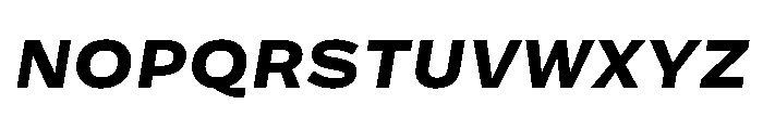 Action Grotesque Heavy Italic Font UPPERCASE