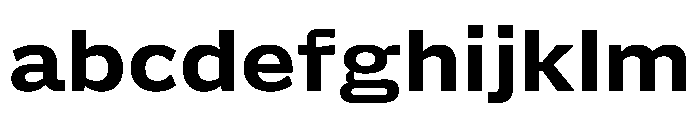 Action Grotesque Heavy FONT