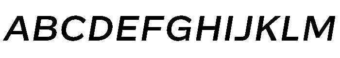 Action Grotesque Medium Italic Font UPPERCASE