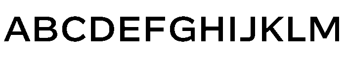 Action Grotesque Medium Font UPPERCASE
