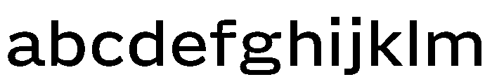 Action Grotesque Medium FONT