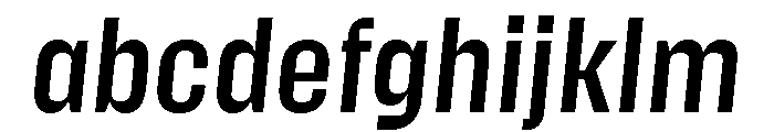 Action Text Dark Medium Italic FONT