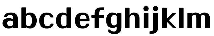 1HOONHeydayOTF Regular Font LOWERCASE