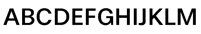 Adapter Pe Variable Medium Font UPPERCASE