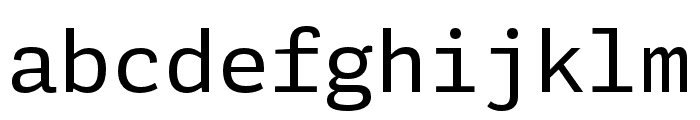 Adelle Mono Flex Regular Font LOWERCASE