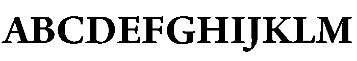 Adobe Aldine Bold Font UPPERCASE