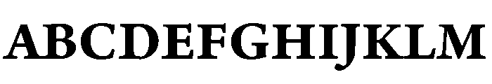 Adobe Aldine Caption Bold Font UPPERCASE