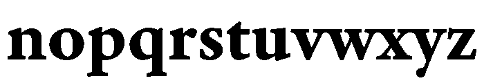 Adobe Aldine Caption Bold Font LOWERCASE