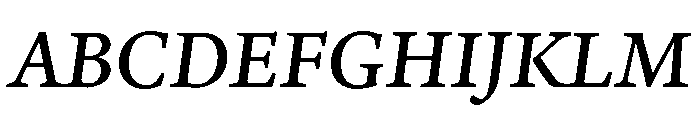 Adobe Aldine Caption Medium Italic Font UPPERCASE
