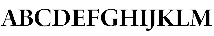 Adobe Aldine Display Bold Font UPPERCASE