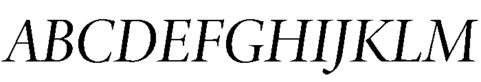 Adobe Aldine Display Italic Font UPPERCASE