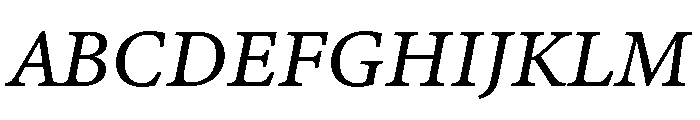 Adobe Aldine Variable Italic Font UPPERCASE