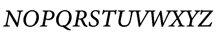Adobe Aldine Variable Italic Font UPPERCASE