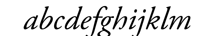 Adobe Garamond Pro Italic Font LOWERCASE