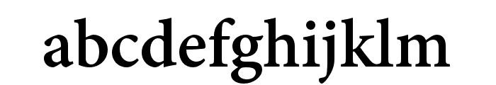 Adobe Gurmukhi Bold Font LOWERCASE