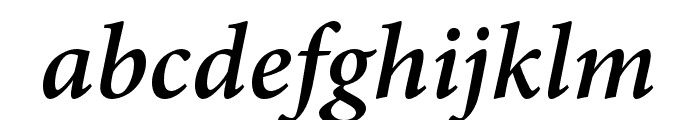 Adobe Hebrew Bold Italic Font LOWERCASE