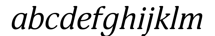 Adonis Italic Font LOWERCASE