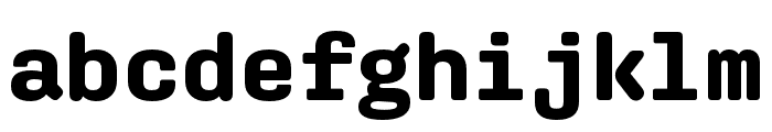 Aglet Mono Bold Font LOWERCASE