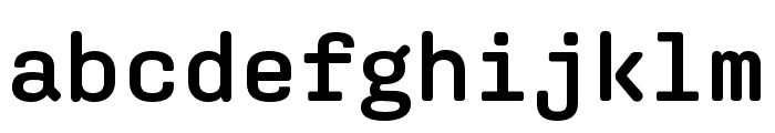 Aglet Mono Semibold Font LOWERCASE
