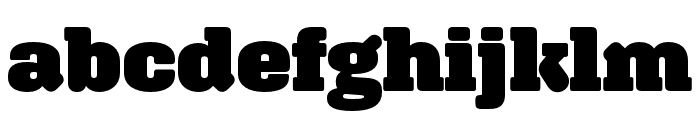 Aglet Slab Ultra Font LOWERCASE