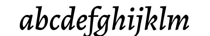 Alegreya Medium Italic Font LOWERCASE