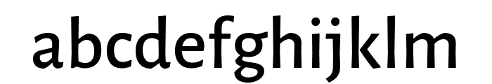 Alegreya Sans Medium Font LOWERCASE