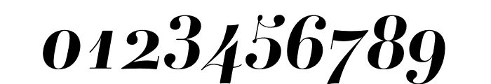 Ambroise Std Bold Italic Font OTHER CHARS
