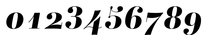 Ambroise Std ExtraBold Italic Font OTHER CHARS