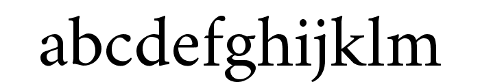 Amiri Regular Font LOWERCASE