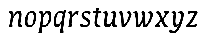 Amman Serif Pro Italic Font LOWERCASE