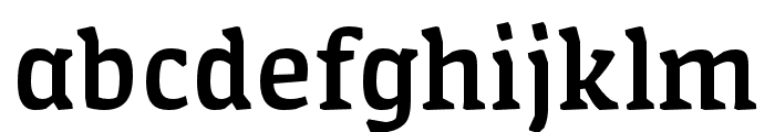 Amman Serif Pro Medium Font LOWERCASE