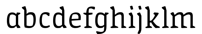Amman Serif Pro Regular Font LOWERCASE