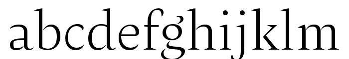 Amster Thin Font LOWERCASE