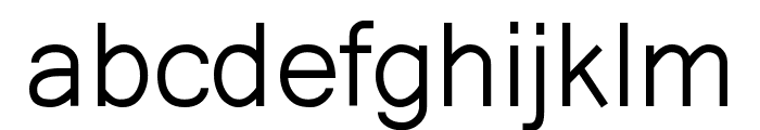 AnjaliOldLipi Regular Font LOWERCASE