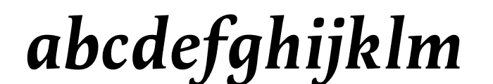 Apolline Std Bold Italic Font LOWERCASE
