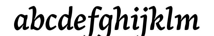 Arek Armenian Semibold Italic Font LOWERCASE