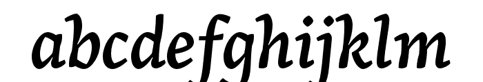 Arek Latin Semibold Italic Font LOWERCASE