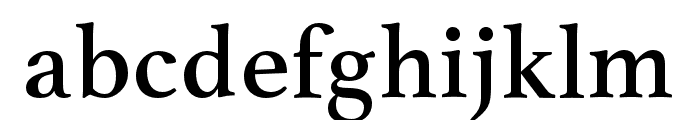 Athelas Arabic Regular Font LOWERCASE