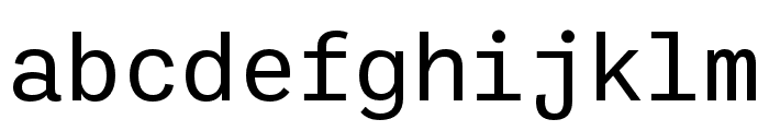 Ballinger Mono Regular Font LOWERCASE
