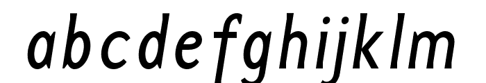 Base 12 Serif OT Reg Italic Font LOWERCASE