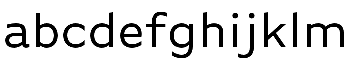 Basic Gothic Pro Book Font LOWERCASE