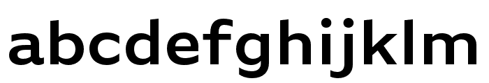 Basic Gothic Pro Demibold Font LOWERCASE