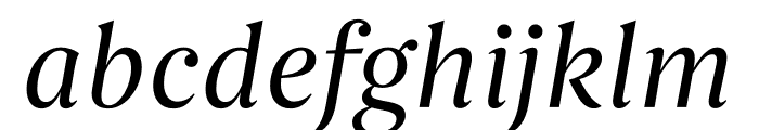 Begum Italic Font LOWERCASE